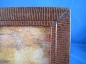 7. Reptile Skin Frame 